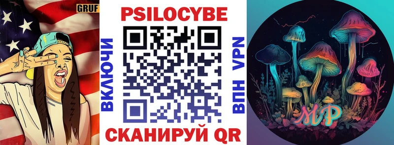 Псилоцибиновые грибы Psilocybe  Мезень 